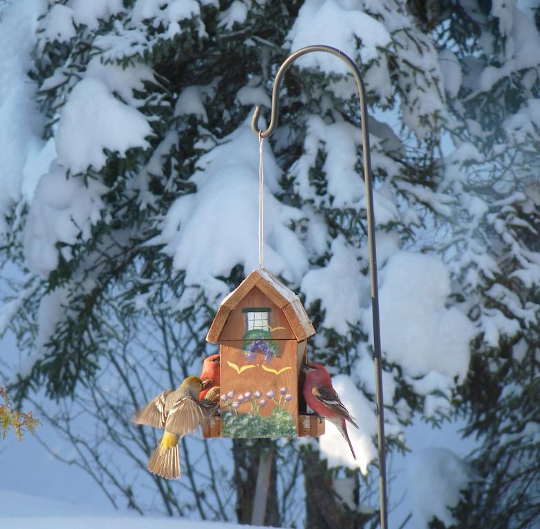 치부가마우 Gite De La Riviere B&B 외부 사진
